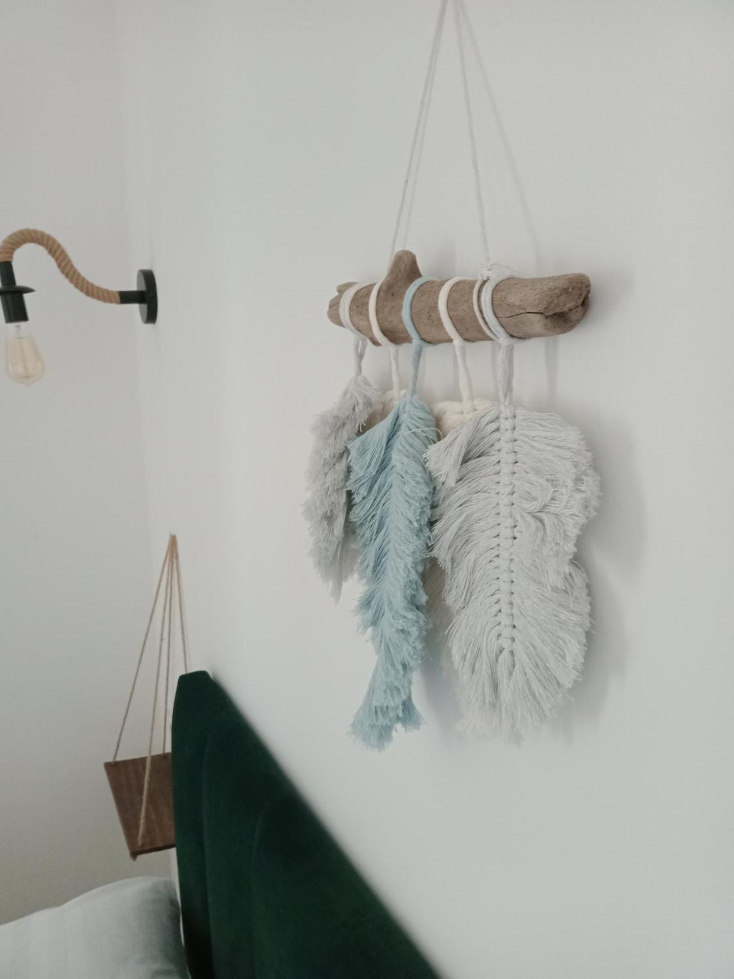 Czarny Baran Dębki Quarto foto