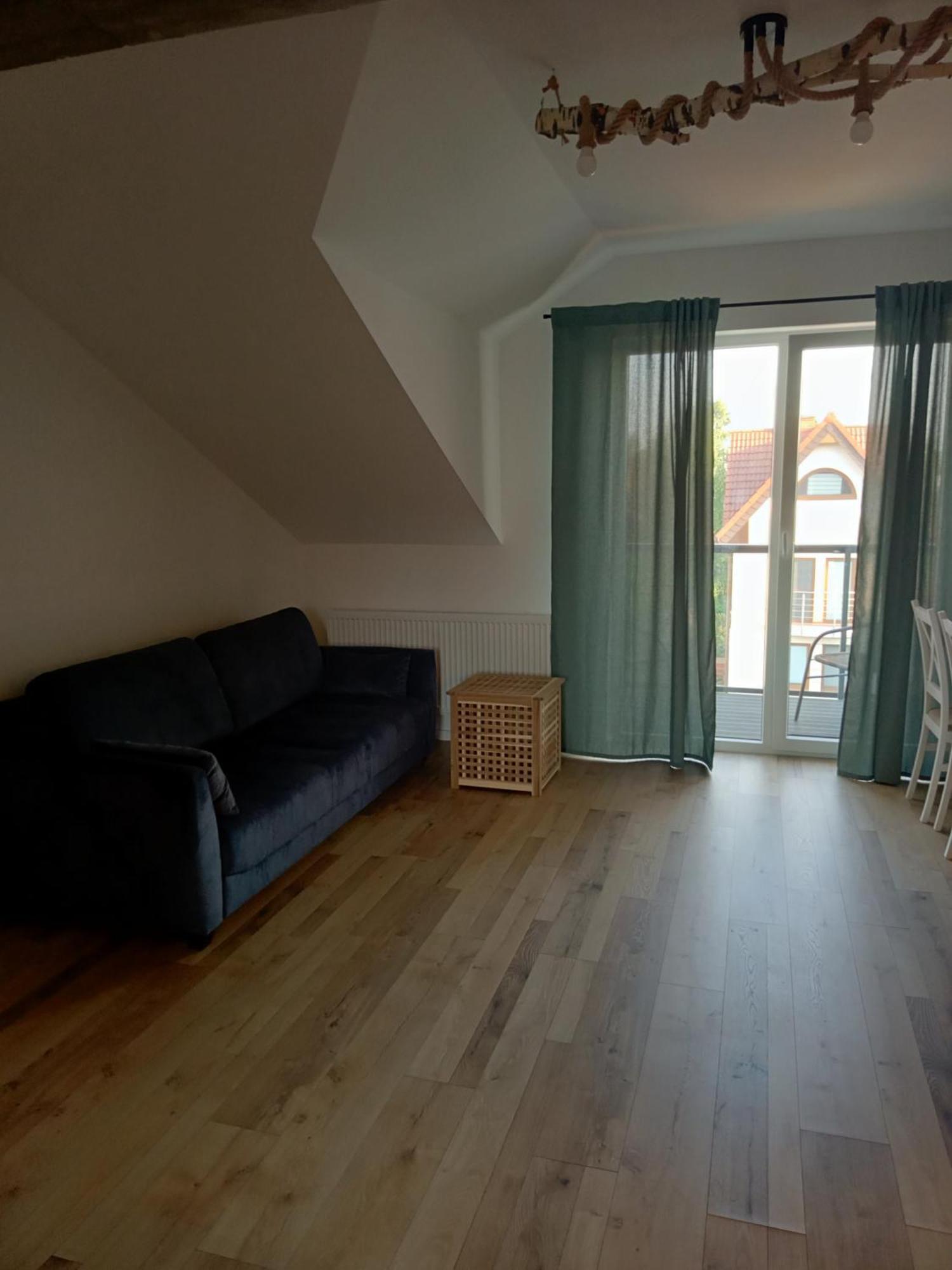 Czarny Baran Dębki Quarto foto